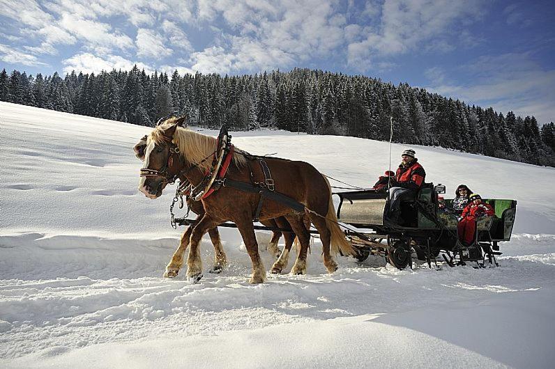 Jochberg Hoamatl Aparthotel Buitenkant foto